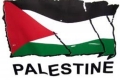 في فلسطين: الحاجة أم الإختراع