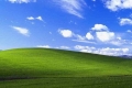 القصة وراء صورة الخلفية الشهيرة لويندوز XP, الصورة الأكثر شهرة والثانية الأغلى ثمنا في العالم ...