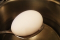 علماء يعيدون بيضة مسلوقة إلى وضعها الابتدائي