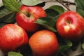 فوائد التفاح التي تغنيك عن زيارة الطبيب