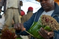 بالصور | لا يأكلون الطعام ويمضغون القات.. تعرف على قصة النبتة العجيبة في إثيوبيا