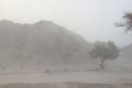 بالصور - أمطار غزيرة تهطل على الامارات خلال ال24 ساعة الماضي