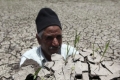 مصر تواجه جفافاً مائياً ورئيس مصلحة الري يحذر من زراعة الأرز