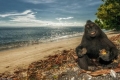 بالصور.. حتى القرود سعيدة بجلوسها على الشاطئ