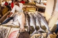 صيد السمك بالمتفجرات في تنزانيا يدمر البيئة البحرية