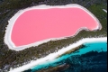 لماذا تكثر البحيرات الوردية في أستراليا؟