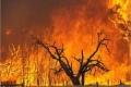 بالتزامن مع أسوء جفاف منذ 50 عاماً: الحرائق تزداد استعاراً في الولايات المتحدة