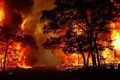 ارتفاع الحرارة يتسبب في أشعال آلاف الحرائق في العالم