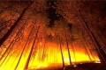 بسبب الجفاف ...حريق هائل في أحراش بيت كاحل وصعوبات بالسيطرة عليه