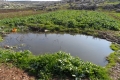 الاحتلال يحرم المزارعين الفلسطينيين في بلدة إذنا الاستفادة من مياه ينابيعهم