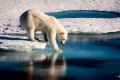 كيف أصبحت مياه المحيط القطبي الشمالي مالحة