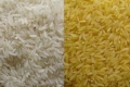 ارتفاع سعر الأرز إلى 125 شيقل للكيس