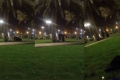 فيديو: امرأة تؤم رجلاً في حديقة واجهة الدمام