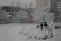 في الجزائر....الثلوج تقطع الكهرباء عن 19 ألف منزل..واستنفار كبير لمواجه عاصفة ثلجية قوية
