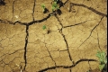 ما هي الأسباب وراء الجفاف الأصعب والاخطر منذ ما يزيد عن 158 عام؟؟