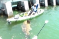 بالفيديو.. أمريكي يصطاد ذئبا بحريا بوزن 250 كيلوغراما
