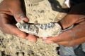 اكتشاف حفرية لأقدم أثر معروف للجنس البشري