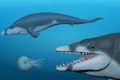 توتسيتوس رياننسيس.. اكتشاف ملك الحيتان المصري الذي عاش قبل 41 مليون سنة