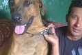 مصر: السجن 3 سنوات للمتهمين بتعذيب وقتل الكلب «ماكس» وتصوير المشهد