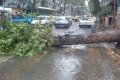 خسائر العاصفة في مازندران تقدر بـ 170 مليار تومان