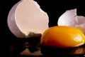 دراسة: تناول بيضة يومياً يقي من أمراض القلب