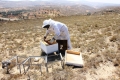 قطاع تربية النحل.. ثروة تحتاج إلى استثمار جيد