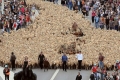 بالصور... مارسيليا تحتفل بأنها عاصمة الثقافة الأوروبية بامرأة تمتطي 3 خيول وتقود 3.000 خروف