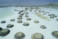 البحر الميت في المركز الخامس... ما هي البقعة الأكثر ملوحة على وجه الأرض؟