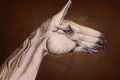 فن تجسيد الحيوانات على اليدين
