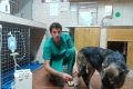 الفلسطيني وسيم طهبوب..رئيساً للجنة الرفق بالحيوان في اتحاد طلبة الطب البيطري العالمي
