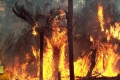 موجة حارة تؤجج حرائق الغابات في استراليا والمئات يتركون منازلهم