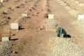 أمطار الرياض تكشف جثة لم تتحلل بعد 11 عاماً على دفنها