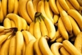 بنما يهدد بالقضاء على محاصيل الموز في العالم