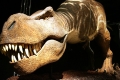 مصادفة اكتشاف دم وكولاجين معا في عظام ديناصور قد تؤدي إلى إعادة كتابة التاريخ