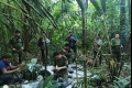من بينهم رضيع.. العثور على أطفال تاهوا في غابة نحو 40 يوما