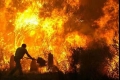 فرنسا: حرائق غير معهودة تلتهم غابات جبال «البيرينيه»