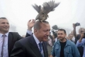 ماذا يفعل هذا الطائر فوق رأس أردوغان؟