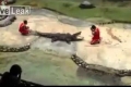 بالفيديو .. تمساح يقبض على رأس مغامر تايلاندي