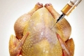 هكذا تكشف الدجاج المحقون بالهرمونات