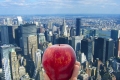 لماذا تُلّقب مدينة نيويورك الأمريكية بالتفاحة الكبيرة؟