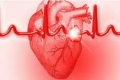 ببساطة وفي ثانيتين: شاهد كيف يضخ قلبك الدم في عروقك!