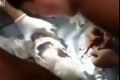 معجزة.. بالفيديو: طفل رضيع يخرج من أنبوب للصرف الصحي حياً
