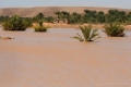 مصابون ومشردون بعد فيضانات في الجزائر