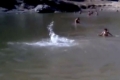 شاهد .. ثعبان عملاق وراء غرق الزوجين اليمنيين في مياه سد