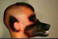 بالصور - شاب برازيلي يحول نفسه الى كلب بعملية جراحية تخريبية حقيرة
