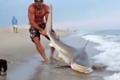 شاهدوا بالفيديو: شاب يصطاد سمكة قرش بيديه تزن أكثر من 200 باوند