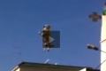 بالفيديو:في حادثة نادرة..خروف يتعلق بأحد أسلاك الكهرباء قبل نحره !