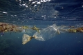 ثلاثمائة مليار قطعة بلاستيكية تسبح في المتجمد الشمالي