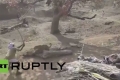 معركة مثيرة بين نمر وحارس غابة (فيديو)