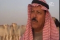 بالفيديو.. سعودي يمتلك أندر قطيع إبل في العالم بقيمة 50 مليون دولار